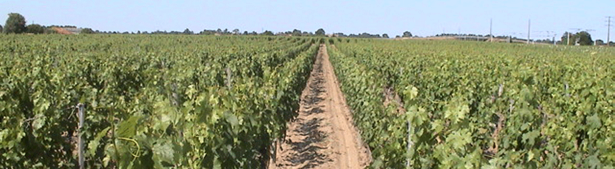 Images du chateau de Roquebrune